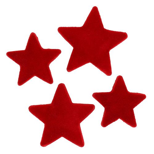 Floristik24 Žvaigždžių mišinys raudonas flokuotas 4-5cm 40vnt