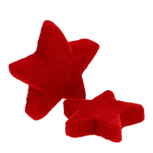 Floristik24 Žvaigždžių mišinys raudonas flokuotas 4-5cm 40vnt