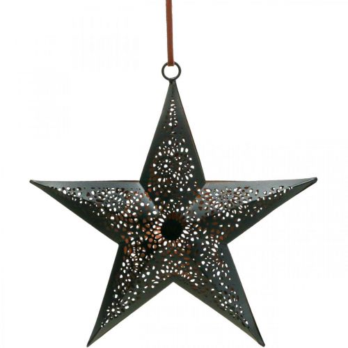 Floristik24 Kalėdinė kabykla Star Metal Star Black H19cm