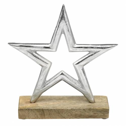 Floristik24 Žvaigždė, skirta nustatyti Mango, metalo sidabro 21 × 16,5 cm