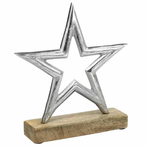 Floristik24 Žvaigždė, skirta nustatyti Mango, metalo sidabro 21 × 16,5 cm