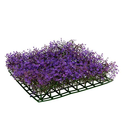 Floristik24 Žvaigždžių gėlių kilimėlis 25cm x 25cm Violetinė