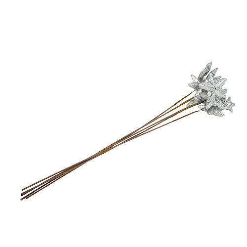 Floristik24 Žvaigždės ant pagaliuko sidabrinės 60cm 5vnt.