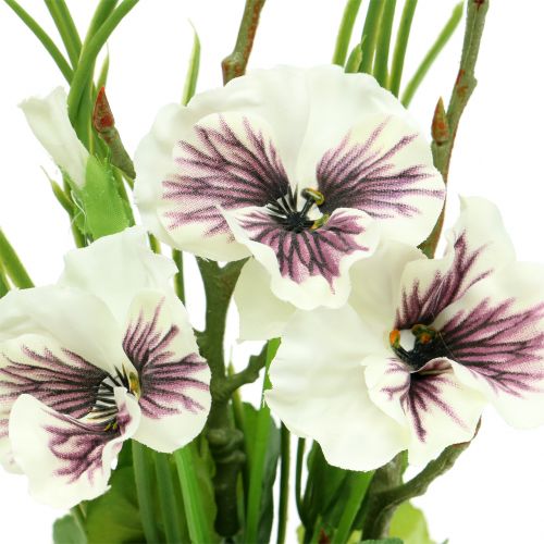 Floristik24 Pansė su samanų kamuoliuku balta 31cm