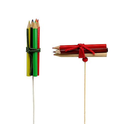 Floristik24 Kaiščių ryšulio kištukai spalvoti 10vnt