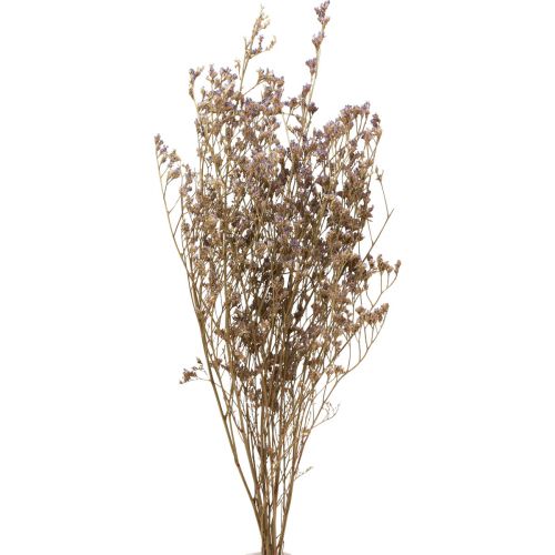 Floristik24 Paplūdimio alyvinė Limonium Džiovintos Gėlės Violetinė 70cm 50g