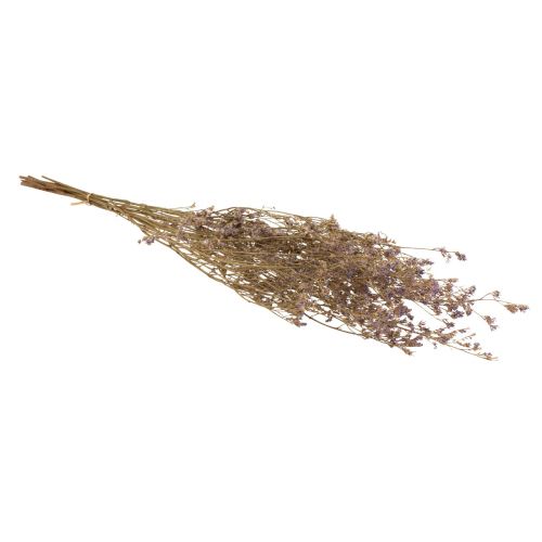 daiktų Paplūdimio alyvinė Limonium Džiovintos Gėlės Violetinė 70cm 50g