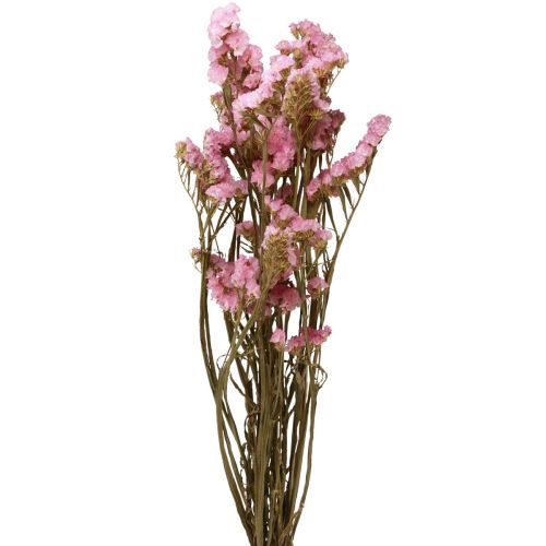 Floristik24 Paplūdimio Alyvinė Rožinė Limonium Džiovintos Gėlės 60cm 50g