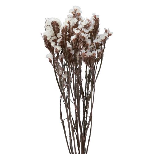 Floristik24 Paplūdimio alyvinė balta limoniumo džiovintos gėlės 60cm 35g