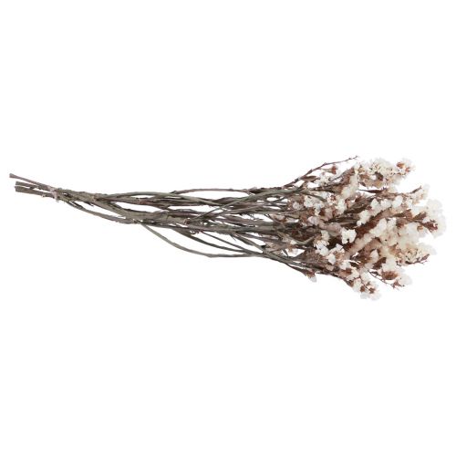 Floristik24 Paplūdimio alyvinė balta limoniumo džiovintos gėlės 60cm 35g