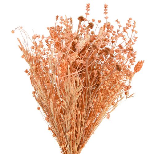 daiktų Džiovintų gėlių puokštė oranžinė abrikosų sausa puokštė 45cm 80g