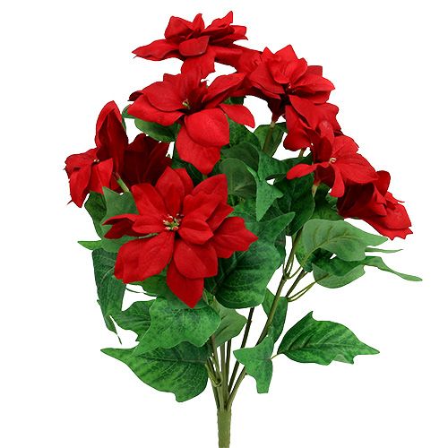 daiktų Puokštė Poinsettia Red L47cm