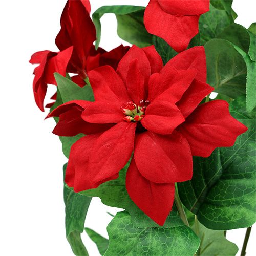 daiktų Puokštė Poinsettia Red L47cm