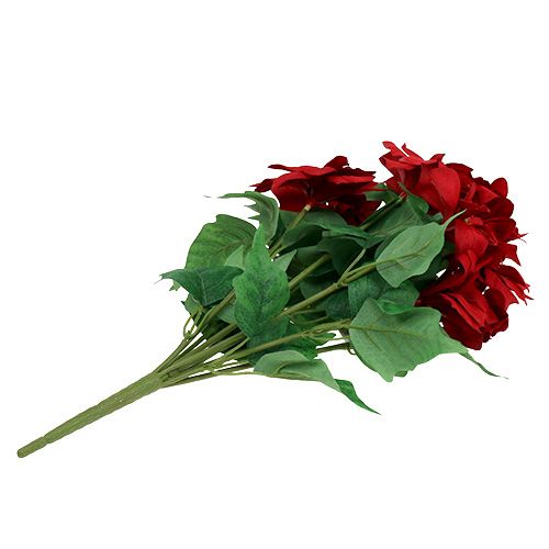 daiktų Puokštė Poinsettia Red L47cm