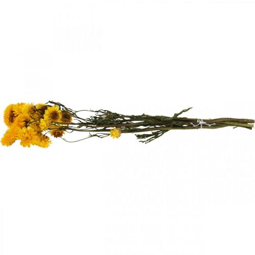 Floristik24 Džiovintų gėlių geltona šiaudinė gėlė Helichrysum sausa dekoravimo kekė 50cm 45g
