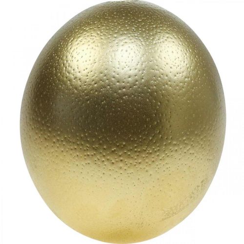 Stručio kiaušinio puošmena išpūsta Velykų puošmena auksinė Ø12cm H14cm