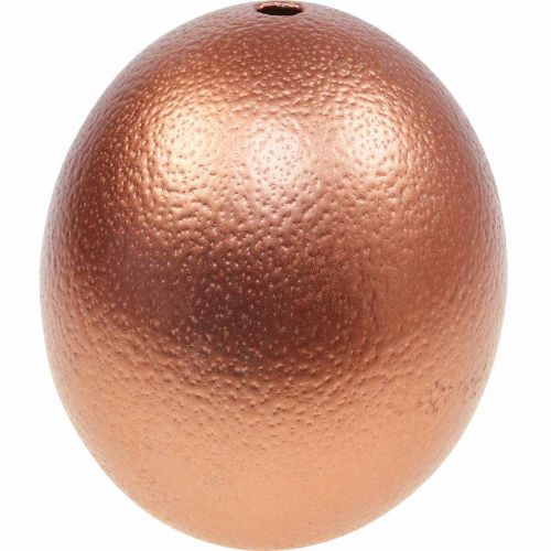 daiktų Stručio kiaušinio puošmena išpūsta Velykų puošmena varinė Ø12cm H14cm