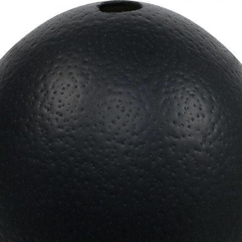 Stručio kiaušinio puošmena išpūsta Velykinė dekoracija juoda Ø12cm H14cm | Floristik24.lt