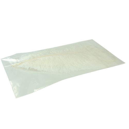 daiktų Stručio plunksnos Exotic Decoration Baltos plunksnos 32-35cm 4 vnt