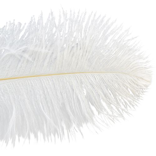 daiktų Stručio plunksnos Exotic Decoration Baltos plunksnos 32-35cm 4 vnt