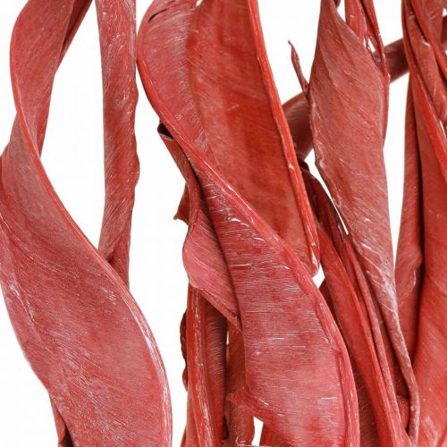 Floristik24 Strelicijos lapai raudoni matiniai sausi floristika 45-80cm 10 vnt
