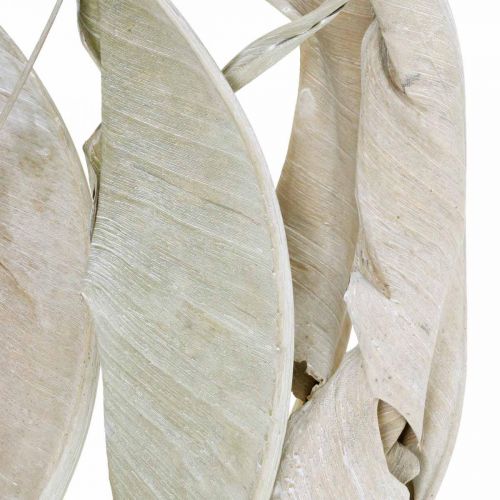 daiktų Strelicijų lapai nuplauti baltai džiovinti 45-80cm 10p