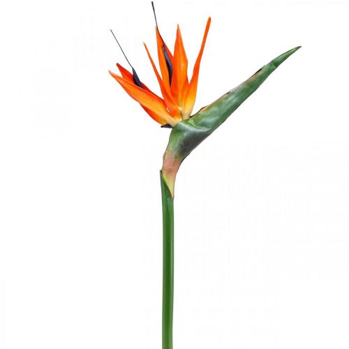 Strelizie reginae dirbtinė gėlė oranžinė rojaus paukštė L85cm