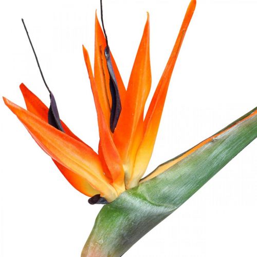 Strelizie reginae dirbtinė gėlė oranžinė rojaus paukštė L85cm