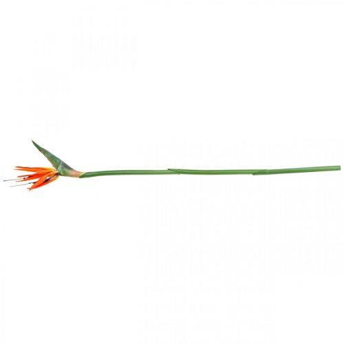 Floristik24 Strelizie reginae dirbtinė gėlė oranžinė rojaus paukštė L85cm