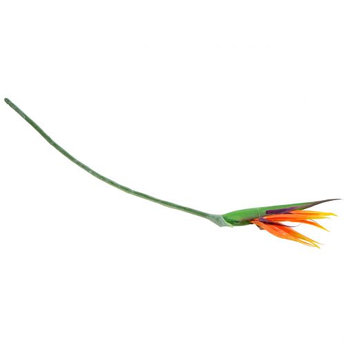 Floristik24 Rojaus paukštis Strelitzia 95cm