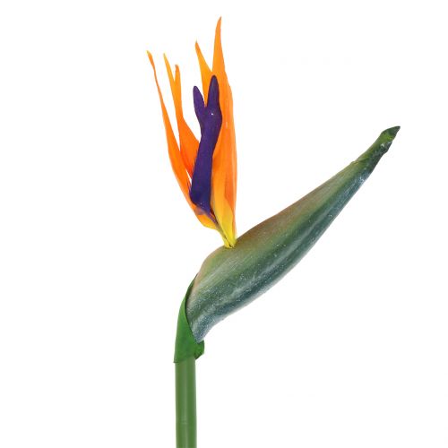 daiktų Strelicijos rojaus paukščio gėlė dirbtinė 98cm