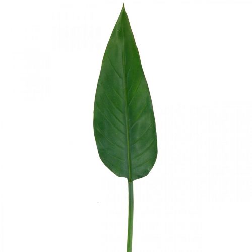 daiktų Strelicijos papūgos gėlės dekoratyvinis lapas Strelicijos lapas žalias L81cm