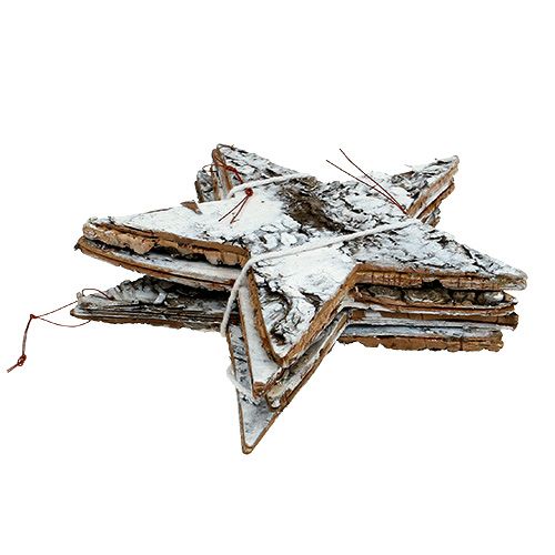 Floristik24 Beržo žievės žvaigždė didelė balta 19cm 4vnt