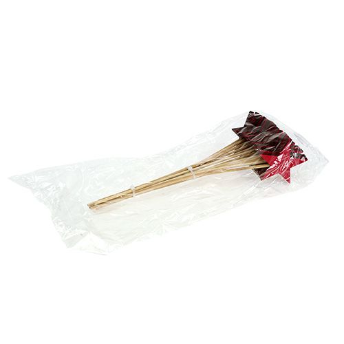 Floristik24 Žvaigždės fuksija kaip kištukas 7cm 12vnt
