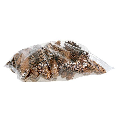 daiktų Strobus kūgiai 20 - 25cm dažyti 50 vnt