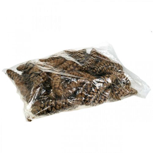 daiktų Kankorėžiai Baltoji pušis Strobus Natural Mixed 2,5kg