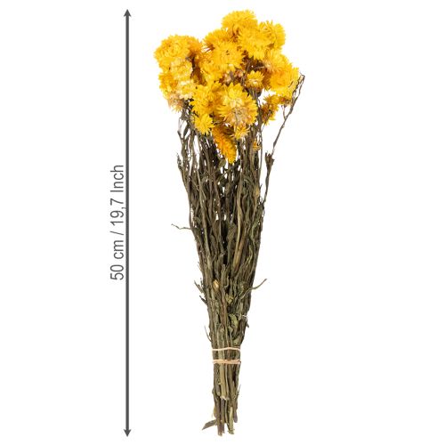 daiktų Džiovintų geltonųjų šlamučių (Helichrysum) žiedų puokštė, 100 g