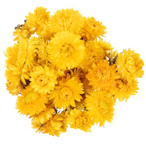 daiktų Džiovintų geltonųjų šlamučių (Helichrysum) žiedų puokštė, 100 g