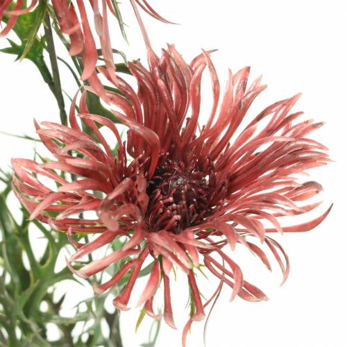 Floristik24 Ksanto šakelė Bordo 69cm 3vnt
