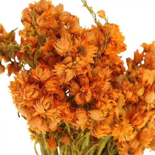 Floristik24 Šiaudinės gėlės Džiovintos Gėlės Oranžinės Mažos 15g