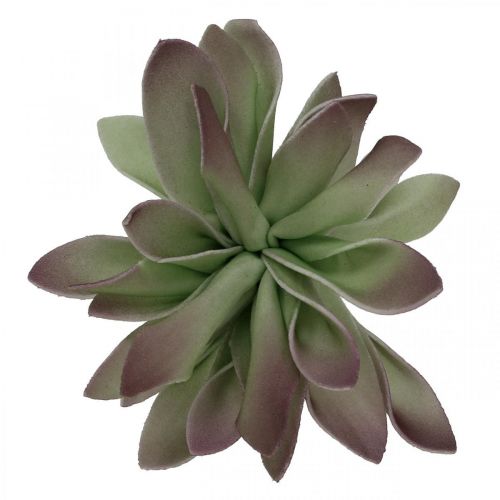Floristik24 Sultingas žalias, bordo 10cm 12vnt