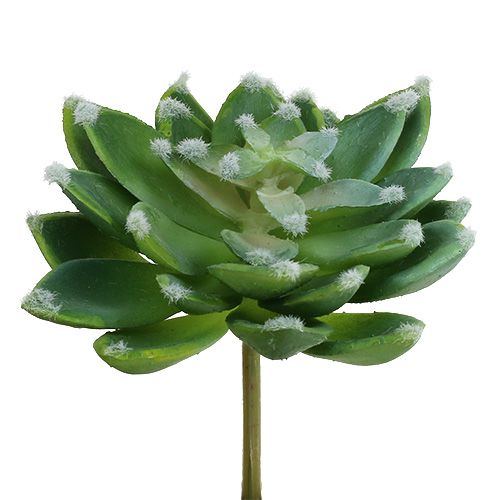daiktų Sultinga akmeninė rožė žalia Ø10cm H11cm 3 vnt