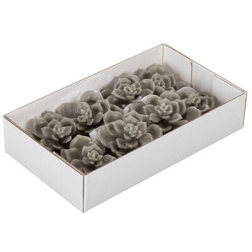 Dirbtinis sukulentas, vaškas, dirbtinis augalas su viela, 8 cm, 8 vnt. | Floristik24.lt