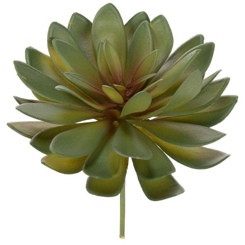 Dirbtinis sukulentas kaip dekoratyvinis augalas, žalias, 18 cm, 3 vnt.