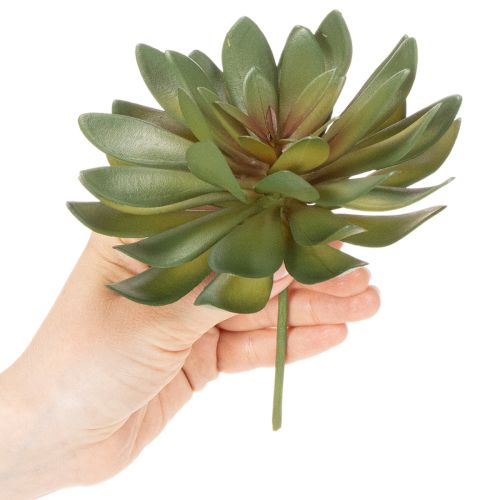 Dirbtinis sukulentas kaip dekoratyvinis augalas, žalias, 18 cm, 3 vnt. | Floristik24.lt