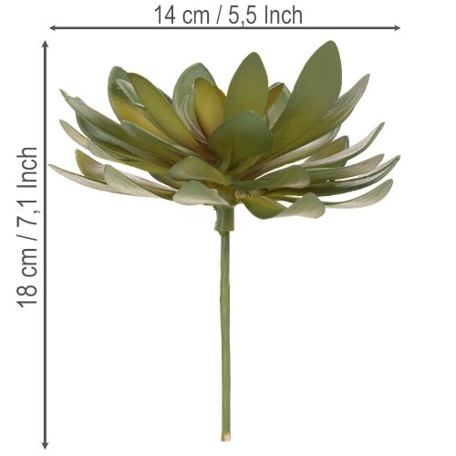Dirbtinis sukulentas kaip dekoratyvinis augalas, žalias, 18 cm, 3 vnt. | Floristik24.lt