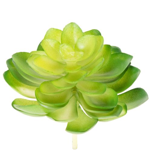 Dirbtinis sukulentas, žalias, dekoravimui dubenyje arba vazoje, 10 cm, 4 vnt.