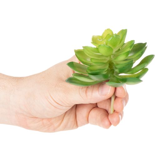 Dirbtinis sukulentas, žalias, dekoravimui dubenyje arba vazoje, 10 cm, 4 vnt. | Floristik24.lt
