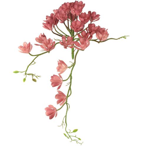 Dirbtinis sukulentas 28 rozetės Aeonium senovinė rožinė 43 cm