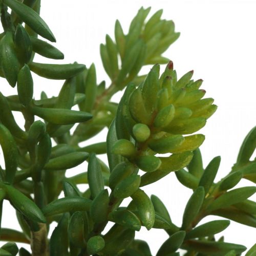 Floristik24 Sultingas dirbtinis žalias augalas klijuoti 25cm žalias 2vnt